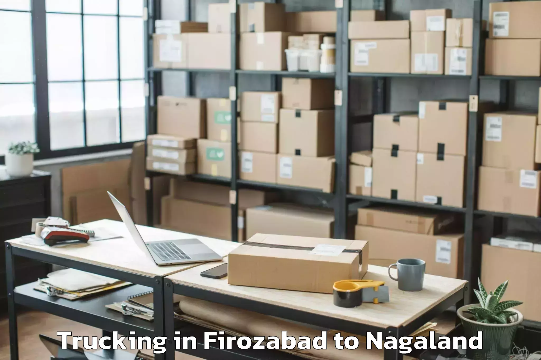 Book Firozabad to Noklak Trucking